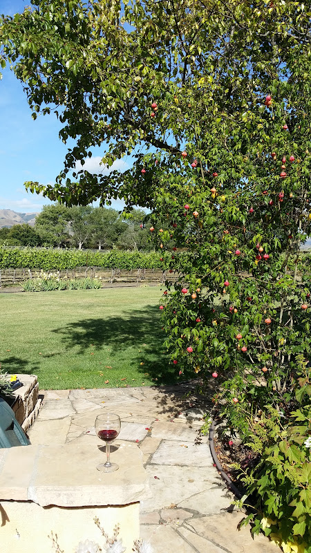 Main image of Piedra Creek Winery