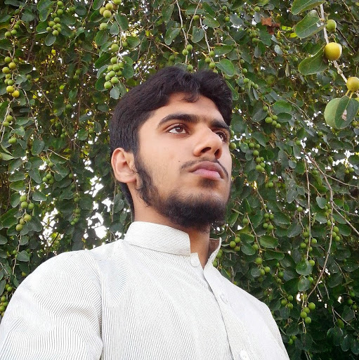 Zeeshan Afzal Photo 25