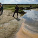 de Slufter National Park on Texel in Texel, Netherlands 