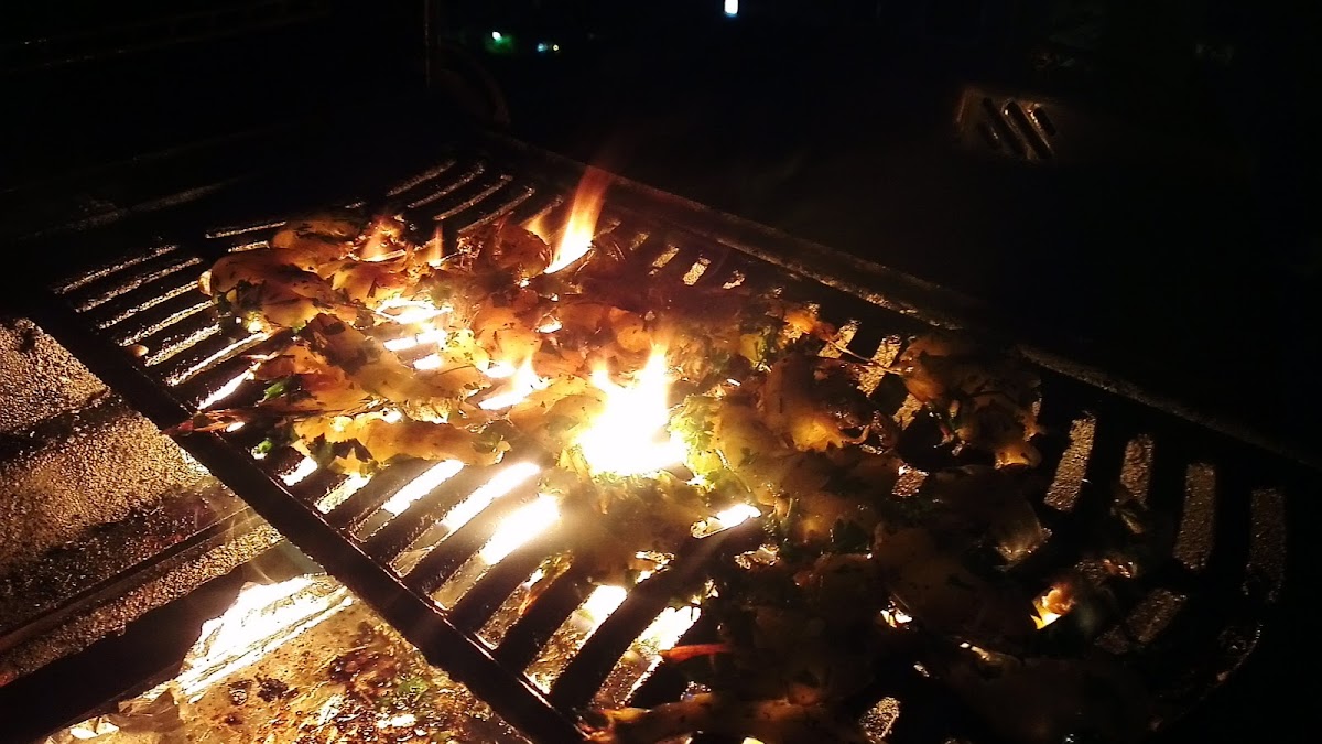 chimmichurri bbq prawns