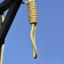 Court sentence seven persons to death by hanging for defiling disabled boy