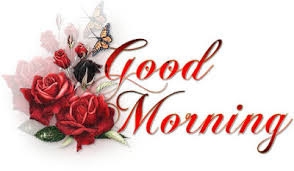 Good Morning Images Collection 2023 good morning images collection