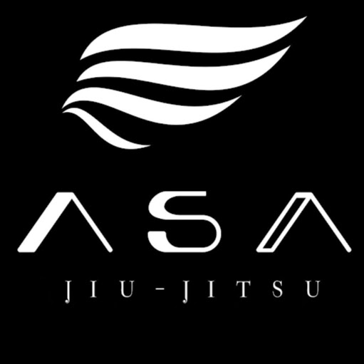 DreamArt Brazilian Jiu Jitsu Academy logo