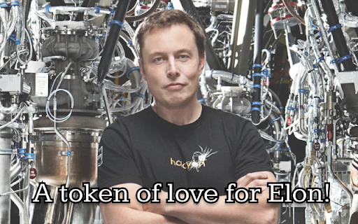 Everything Elon