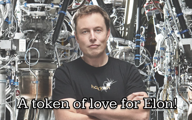 Everything Elon Preview image 0