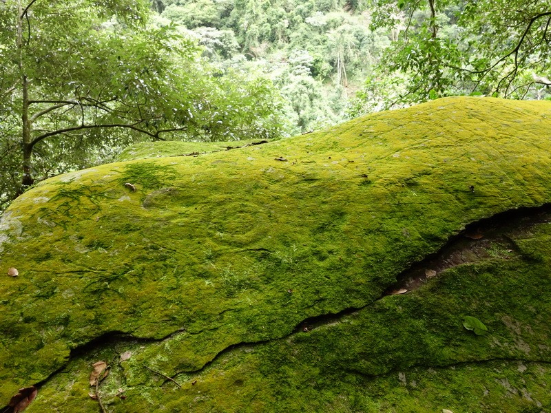 2014_0101-0105 萬山神石、萬山岩雕順訪萬頭蘭山_0584