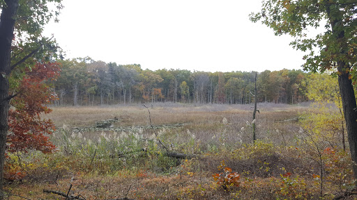 Hiking Area «Cowles Bog Trail», reviews and photos, 1618 N Mineral Springs Rd, Dune Acres, IN 46304, USA