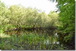 Retention pond 2