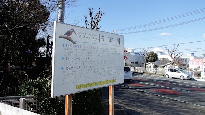 Photos of 柿田川湧水群