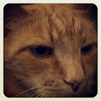 Sven Jr. 20120504-01-sven-jr.jpg