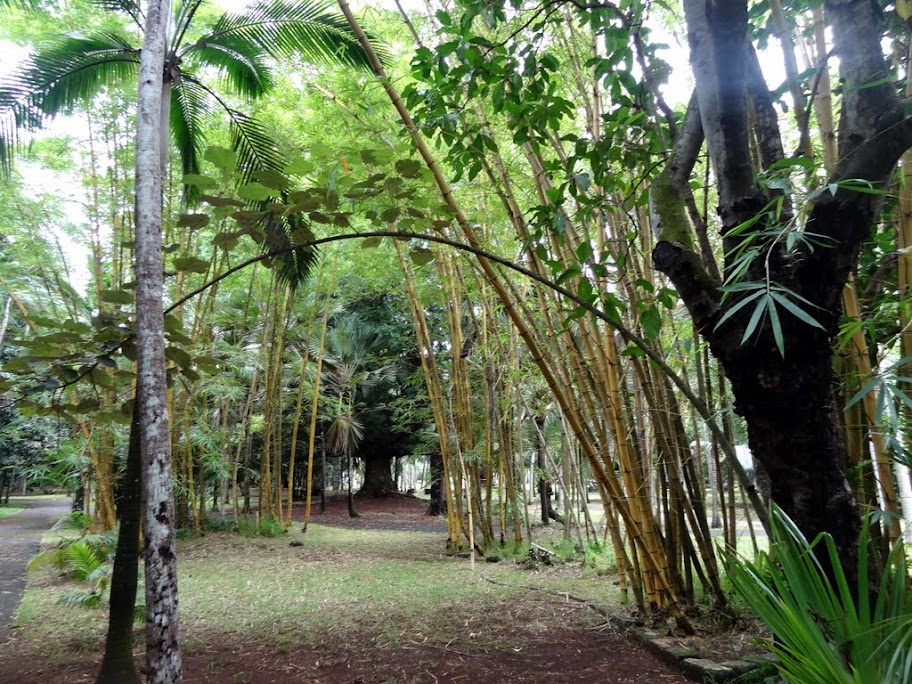 Costa neoRomantica: Сингапур,Малайзия,Таиланд, Шри-Ланка, Индия, Мальдивы,Сейшелы,Маврикий