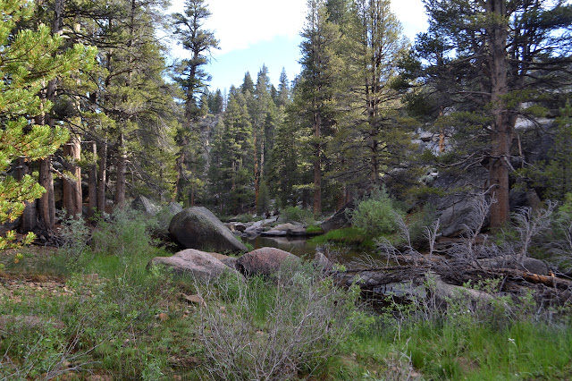 South Fork Kern River