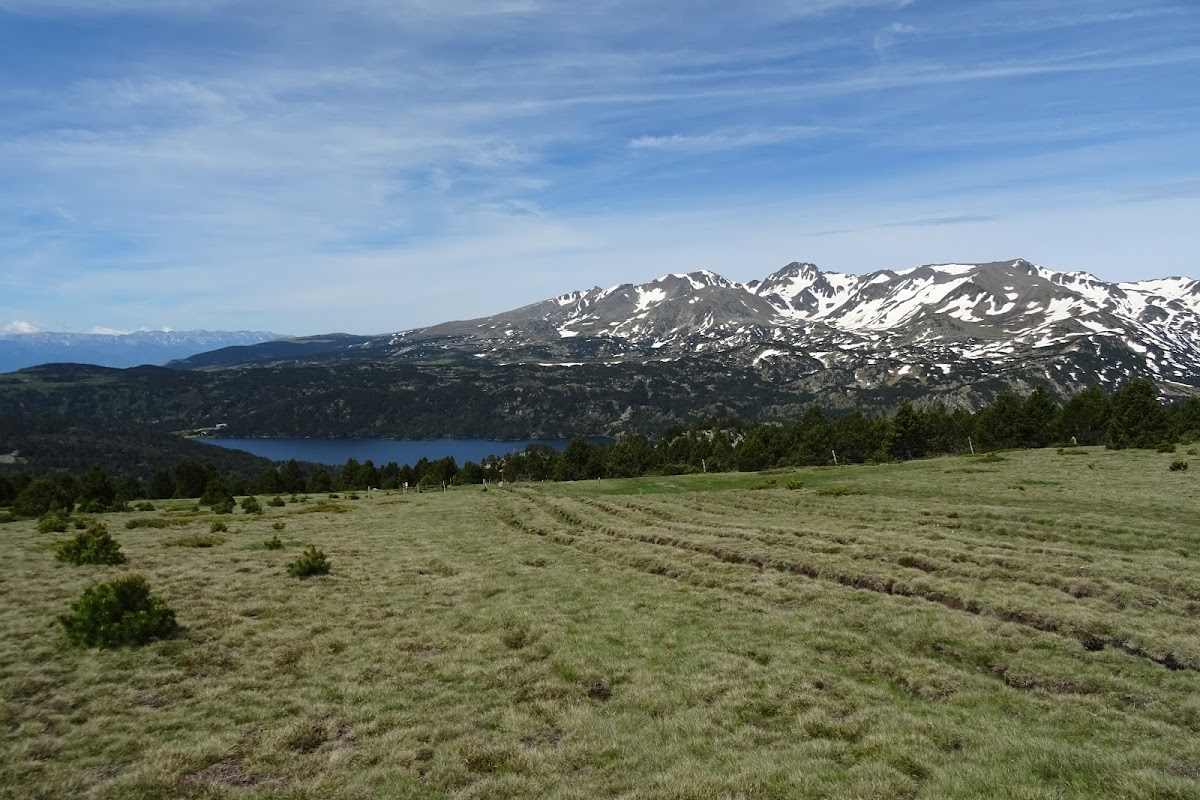 DSC02404.JPG