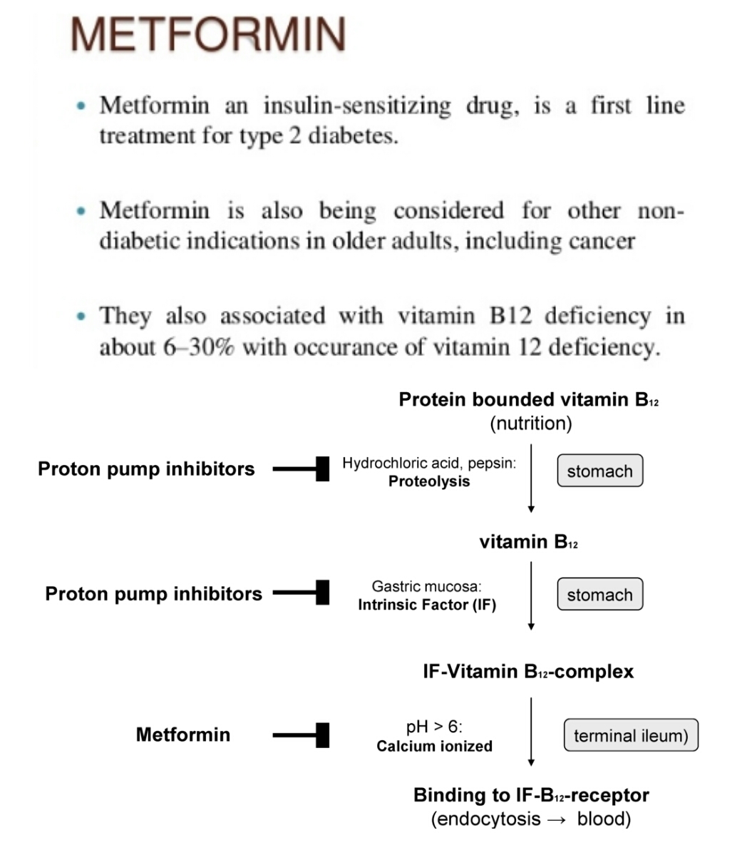 how does metformin interfere with b12