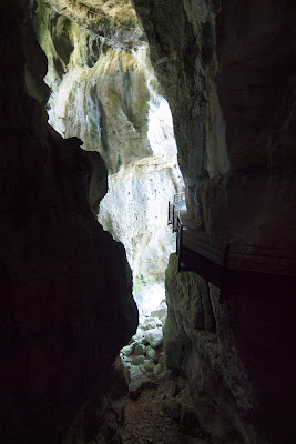 En montagne, autour de Chambéry P6150746