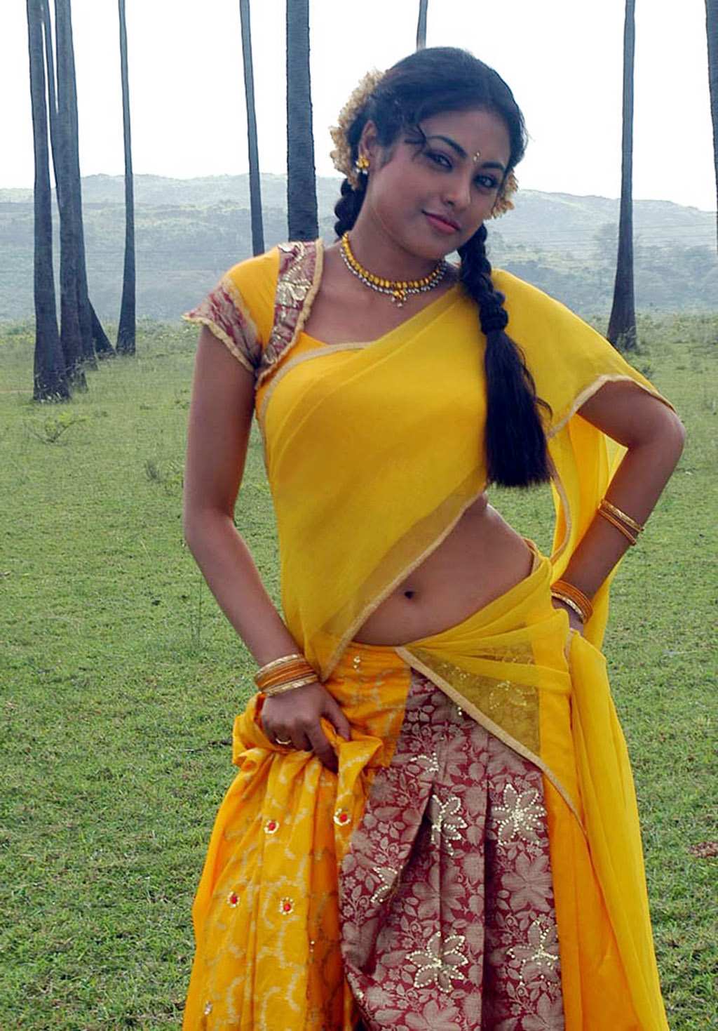 Actress Trisha Cute Half Saree Photo Sexy Hot Navel