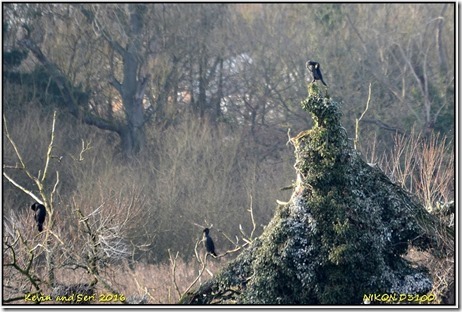 Groby Pools - December