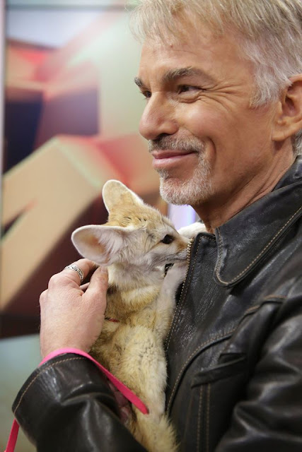 Billy Bob Thornton Profile Dp Pics