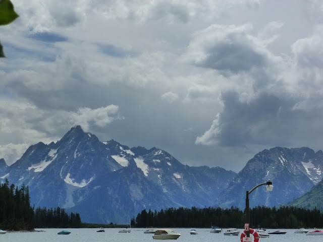 Vuelo a Jackson Hole. PN de Grand Teton. Llegada a PN Yellowstone. 11 Julio. - LAS ROCOSAS DE CANADA. YELLOWSTONE Y GRAND TETON. (17)