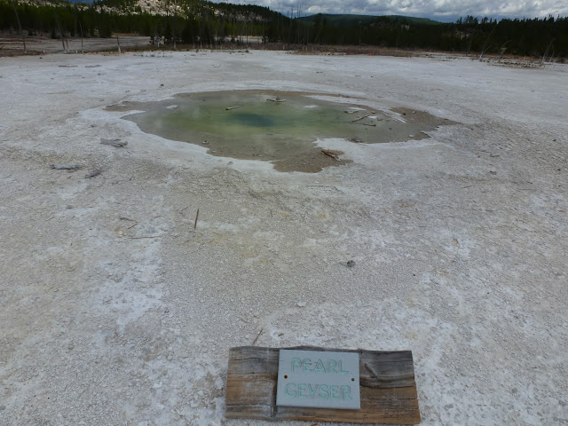 PN Yellowstone. Madison. Valle río Gibbon. Norris Geyser Basin. 12 Julio - LAS ROCOSAS DE CANADA. YELLOWSTONE Y GRAND TETON. (36)