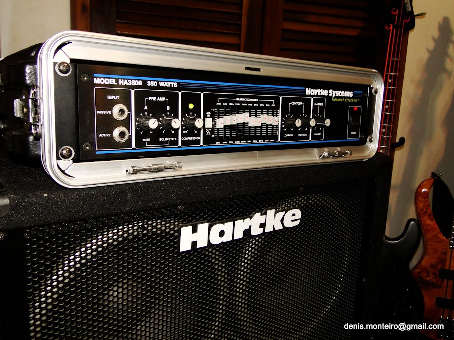 Hartke VX410 (caixa) DSC04626