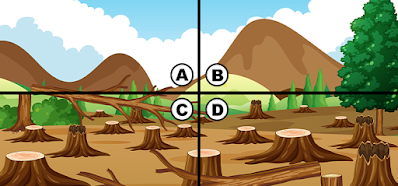 Spot The Turkey Quiz Answers - Quiz Diva 100% Score