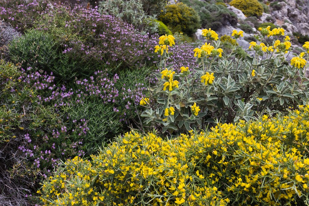 2 месяца в Греции. Часть 1: дорога по Балканам – Пелион – Коринфский залив – Афины - Крит