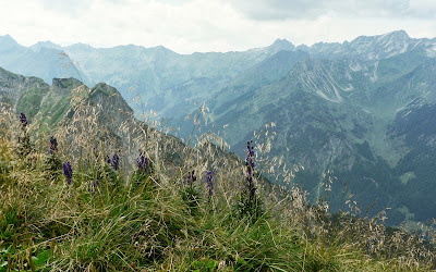 hintere Schafwanne Kugelhorn Tour Willersalpe Schrecksee Allgäu Hindelang primapage