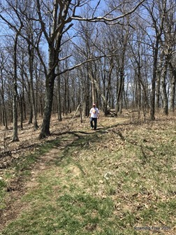 On the Appalachian Trail again