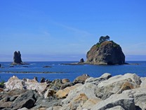 Ocean View, La Push Washington