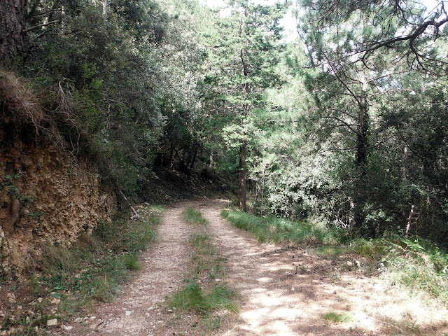 senderismo Sant Pere La Tossa Rossegadors Riu Sénia