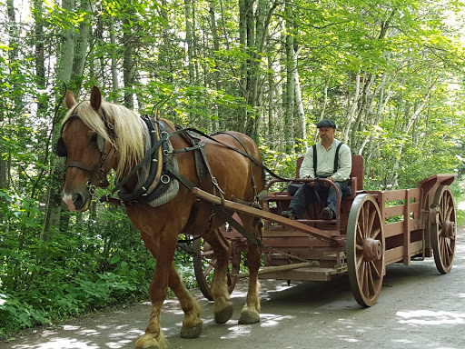 Travel back in time at the Acadian Historical Village, New Brunswick