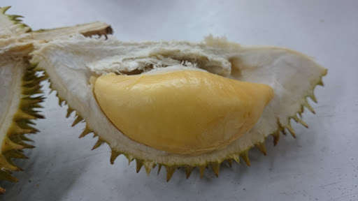 The Durian Tree
