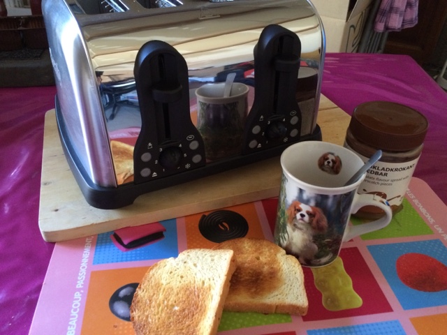 H.Koenig TOS7 : Test et avis complet Grille-pain / Toaster !