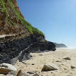 Coal seam on Burwood Beach (340321)