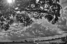 3 maggio 2014 Grana, Alfiano Natta, Grazzano Badoglio, Montachiaro,Montemagno d'Asti - fotografia di Vittorio Ubertone