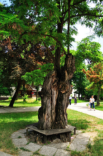 Muzeul Satului