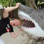 getting eaten by a huge shark in Key Largo, United States 