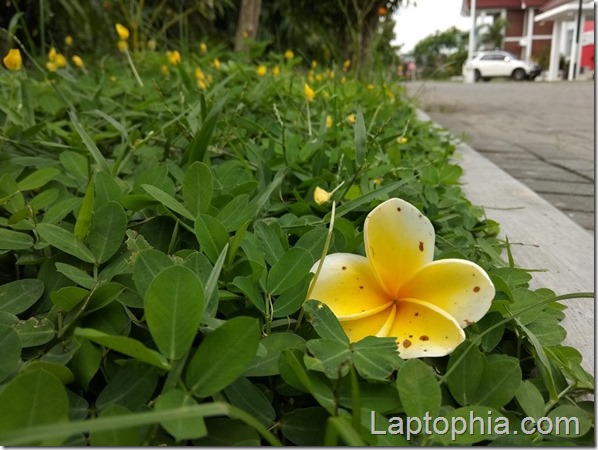 Hasil Foto Kamera Xiaomi Redmi Note 5A Hasil Foto Kamera Xiaomi Redmi Note 5A