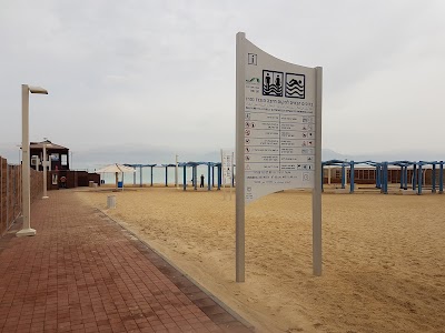 Photos of Segregated Beach