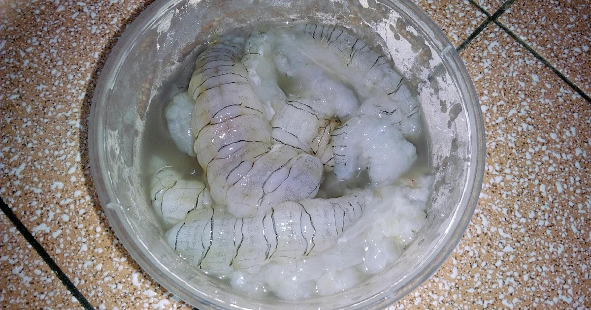 Resepi Udang Lipan Masak Cili Kering - copd blog m