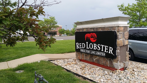 Seafood Restaurant «Red Lobster», reviews and photos, 17204 Chesterfield Airport Rd, Chesterfield, MO 63005, USA