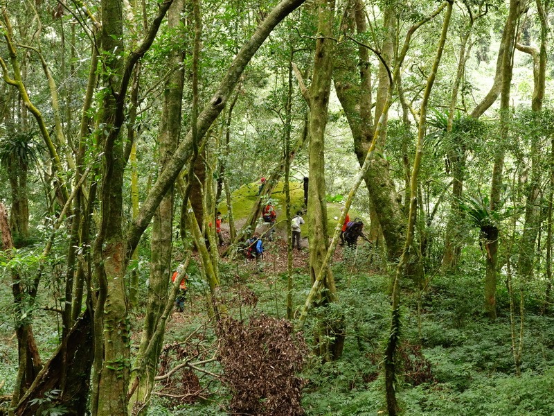 2014_0101-0105 萬山神石、萬山岩雕順訪萬頭蘭山_0598