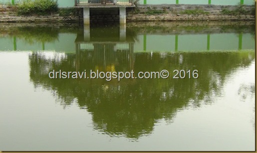 DSC05510 DSC05510