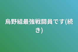 烏野組最強戦闘員です(続き)