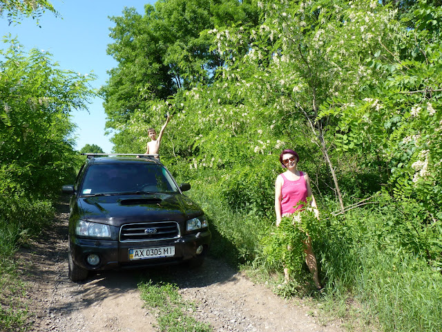 Зображення