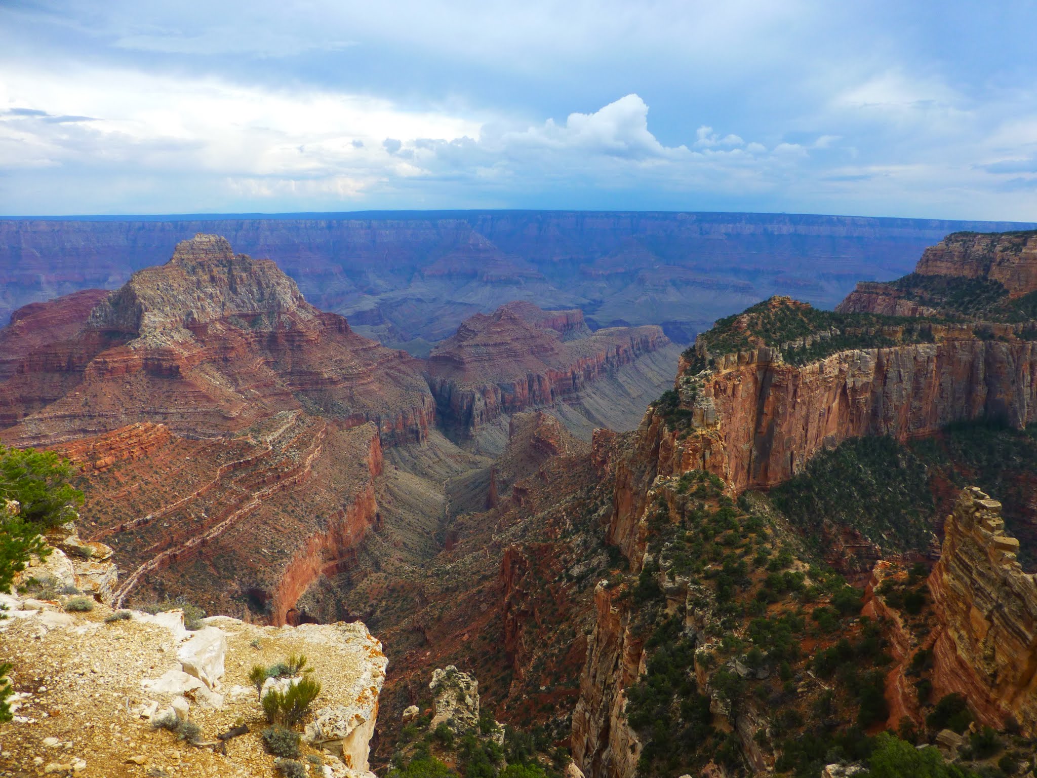 Grand Canyon National Park North Rim Voyager Aux Etats