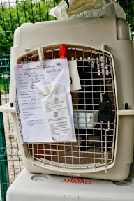 April Sterilisation Campaign - Other Ways We Help