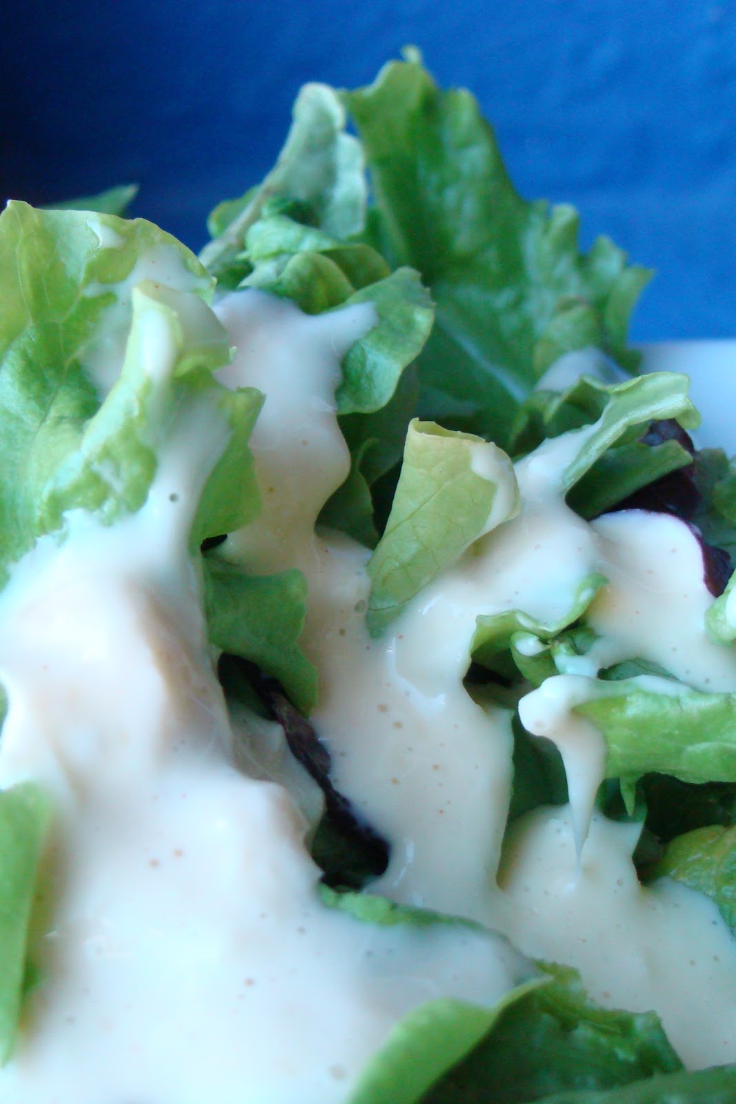 Nourished and Nurtured Easy and Delicious Creamy Salad Dressing (GAPSlegal)