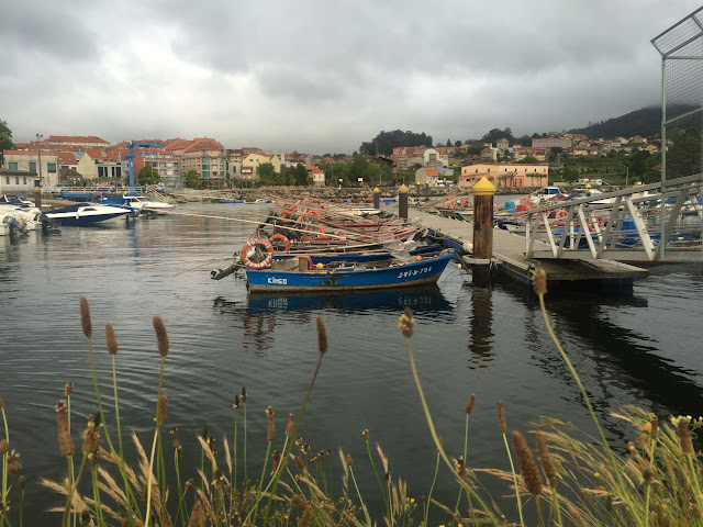 Camino de Santiago Portugues/Португальский пусть Святого Иакова, май 2015 (Порто-Сантьяго)